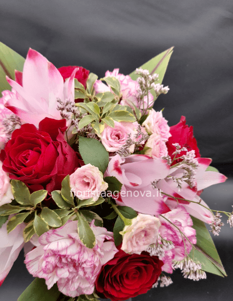 EMOZIONE ROSSA E ROSA EMOZIONE ROSSA E ROSA