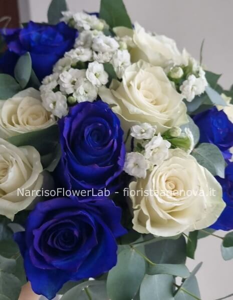 WHITE AND BLUE