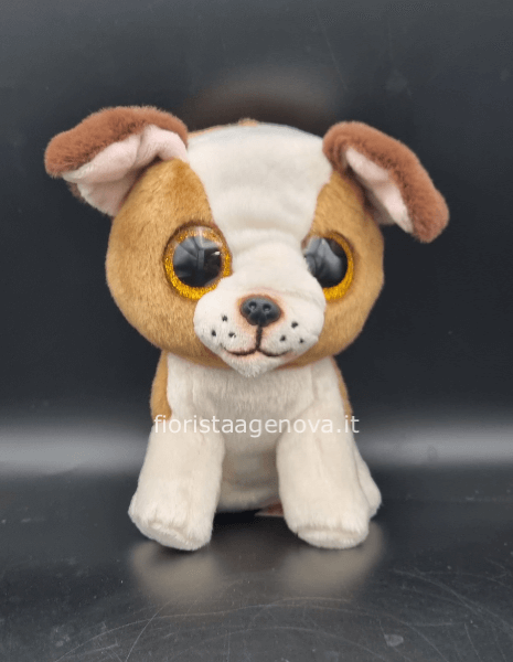 TENERO CAGNOLINO