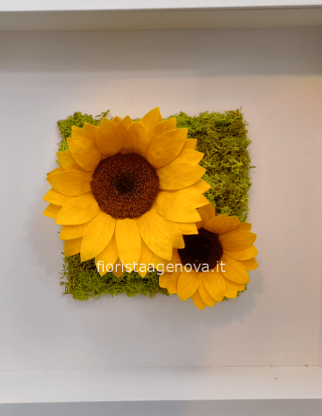 GIRASOLE - QUADRO FLOREALE